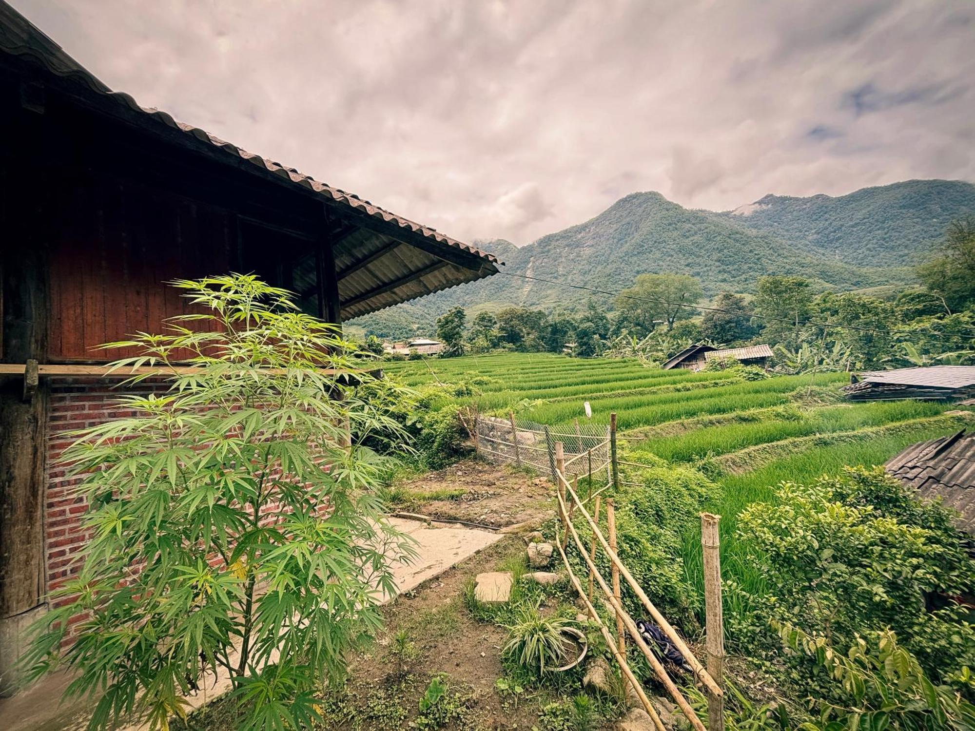 Sapa Tranquilla Appartement Buitenkant foto
